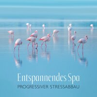 Nachteulen - Entspannende SPA Musik Zone