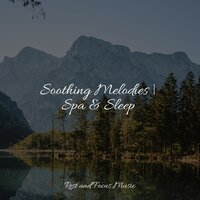 Roll Away the Stone - Sleep Sounds Of Nature & White Noise Baby Sleep & Study Zone