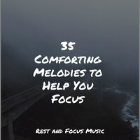 Calming Vibes - Powerthoughts Meditation Club & Natureza Musica Bem-Estar Academia & Yoga Music