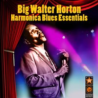 Have A Good Time - Big Walter Horton