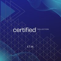 Virtual Love Affair - E.T.M.