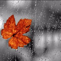 11 Am Rain No.3 - First Dream