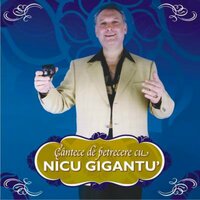 Cocosel, Cocoselule - Nicu Gigantu'