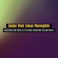 Da Afghani Peghla Qahramana - Abdul Wali Takal Mustaghfir