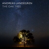 The Oak Tree - Andreas Landegren