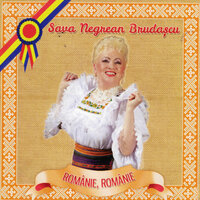 Mere Doru' Pe Marjine - Sava Negrean Brudascu
