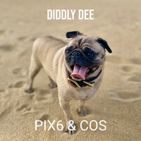 Diddly Dee - Pix6 & COS