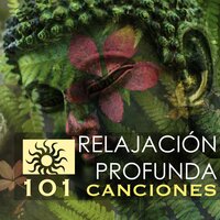 Platino - Relajación Collective