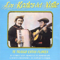 El Espejo - Los Reales del Valle