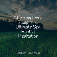 Stress Enchantments - Rising Higher Meditation & Música de la Naturaleza & Academia de Meditação Buddha