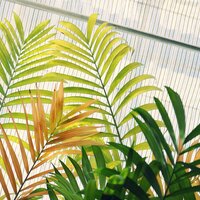 Warm Breeze - Sleepy Times & Calm shores & Rest & Relax Nature Sounds Artists