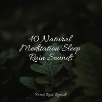 Boats by the Shore - The Sleep Principle & Ambient Forest & Binaural Beats Brain Waves Isochronic Tones Brainwave Entrainment