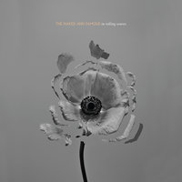 Hearts Like Ours - The Naked And Famous