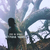 Страна чудес - zoo in space