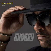 It Wasn't Me (Hot Shot 2020) - Shaggy & Rayvon
