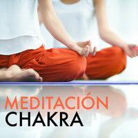 Meditación Reiki - Bienestar Maestro