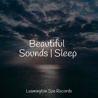 Raindrops - Classical Study Music & Powerthoughts Meditation Club & Rain Forest FX