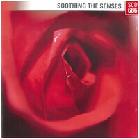 Soothing the Senses - Hannes Treiber & Wesley Plass & Mac Prindy