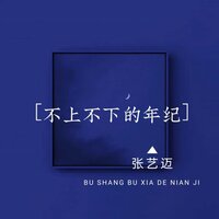 不上不下的年纪 - 张艺迈