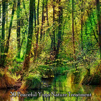 В верхушках деревьев - Nature Sounds Artists