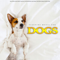 The Best Relaxing Dog Music - Dog Music & Music for Dog's Ears & Sleeping Music For Dogs