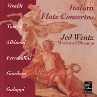 Concerto in E minor: Spirituoso ma maderato - Jed Wentz