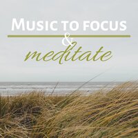 Gentle & Light - High Focus