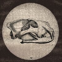 Lux Tenebris - Nomaton