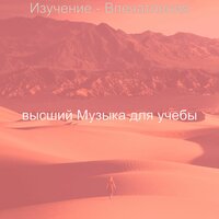 Музыка (Фокус) - высший Музыка для учебы