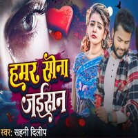 Hamar Sona Jaisan - Sahani dilip & Madhuri Yadav