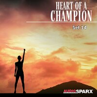 Morning Lights - Wall Of Sound