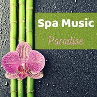 Healing Begins - Serenity Relaxation Music Spa