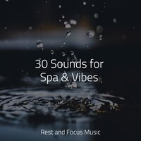 A Calm Forest - Classical Lullabies & Kings of Nature & Guided Meditation Music Zone