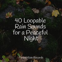 Forest, Night, Frogs - White Noise Sound Garden & Best Relaxing Spa Music & Nature & Sounds Backgrounds