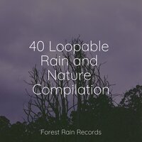 Delicate Droplets - Sample Rain Library & Water Sound Natural White Noise & Serenity Spa Music Relaxation