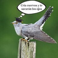 Muchachita Caliente - Frenmad