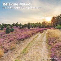 Ambient Music - Soft Music & Relaxation Music & Slow Music