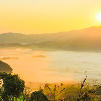 Timeless Romance - Pro Sounds of Nature & Relaxing Nature Sounds Collection & Cascada de Lluvia