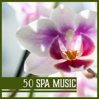 Lift Your Spirits - Zen Relaxation Academy
