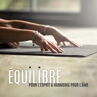 Esprit de Bouddha - Oasis de Musique Zen Spa