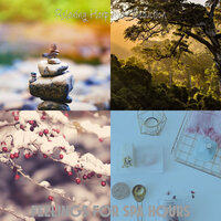 Background for Spa Hours - Relaxing Harp Music Seduction