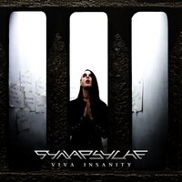 Time Destroys Everything - Synapsyche