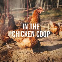 In the Chicken Coop, Pt. 18 - Relaxing White Noise Sounds