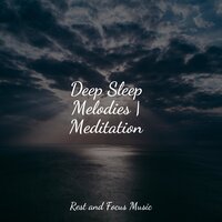 Mindful Focus - Pro Sound Effects Library & Relaxing Mindfulness Meditation Relaxation Maestro & Mindfulness Mediation World