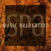 The Best Meditation - Tuscany Moods