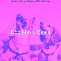Piano Jazz Soundtrack for Separation Anxiety - Dog Music Beats