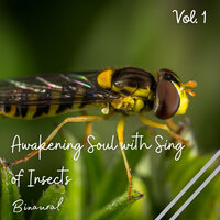 Study Aid - Deep Sleep & Music For Anxiety & Binaural Explorer