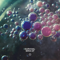4 Mins - Survival