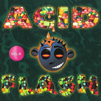 Water for the Journey - Acid Flash