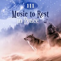 Heal with Nature Sounds - Peaceful Sleep Music Collection